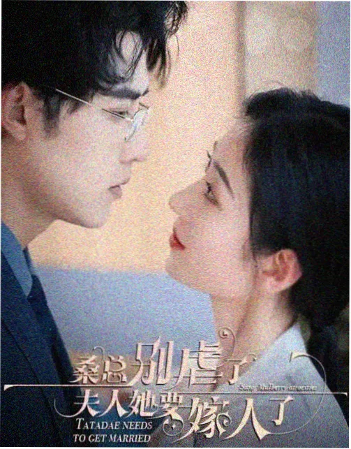 电视剧《老爸的第二次搬家》海报